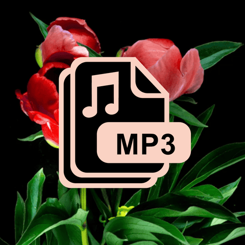 Complimentary Tone Series 01 Song Pairings